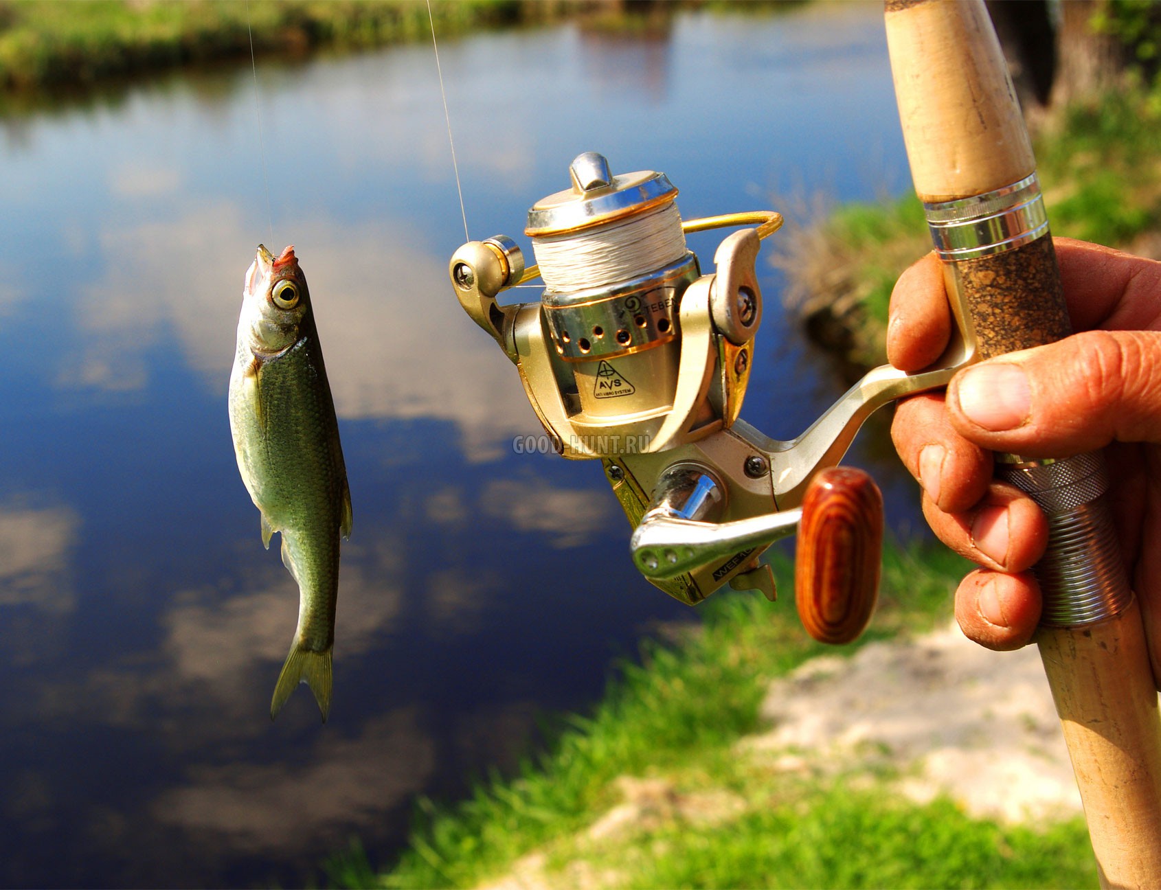 Куда поехать на рыбалку летом в Санкт-Петербурге — Приглашаем в Лепсари!